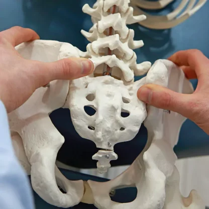 Selkärangan osteopaattisen mobilisoivan hieronnan koulutus - kysy tarjous